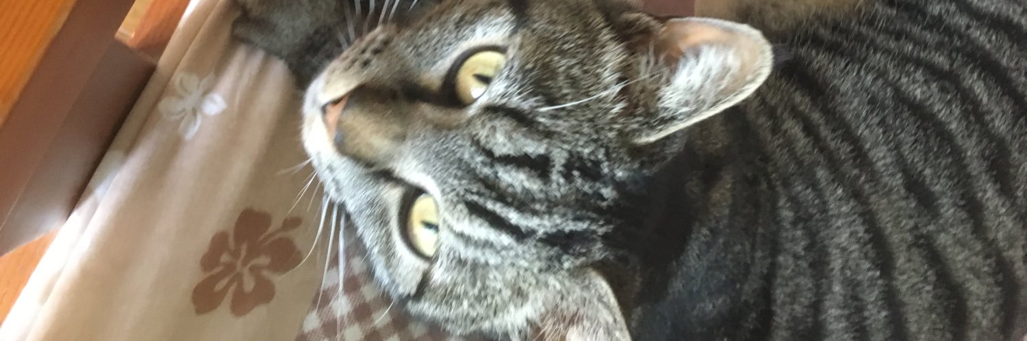 XXX2411's profile banner image