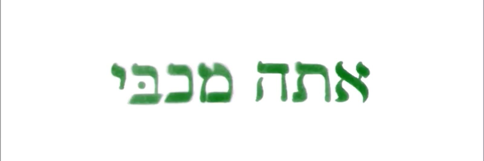 דין דוד של פיד ירוק banner