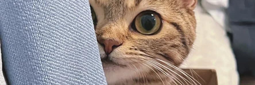 thurs_z's profile banner image