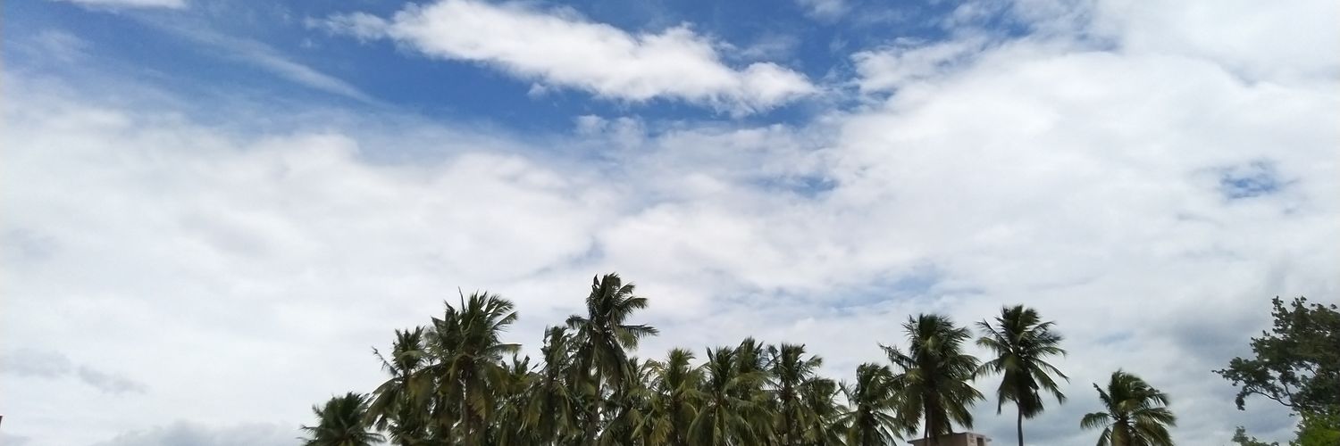 ramugurunathan's profile banner image