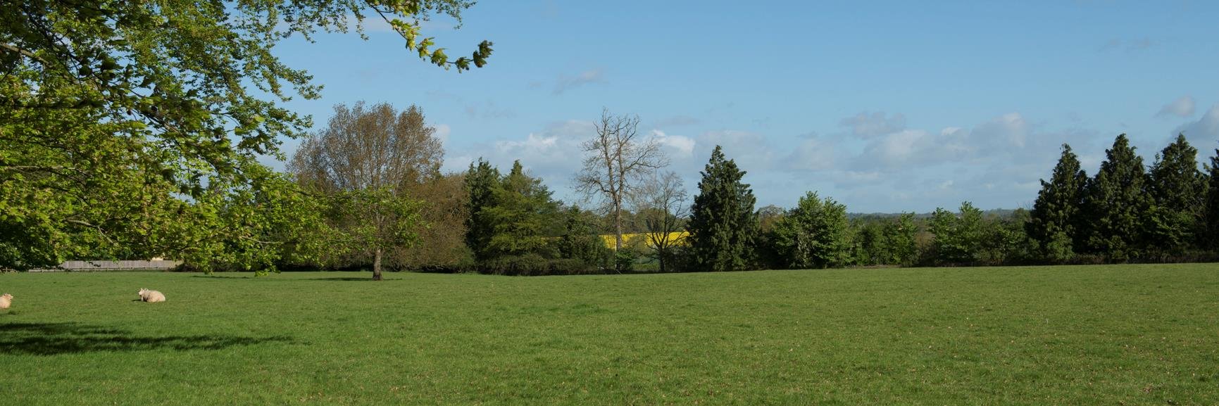 Rupert_Sweeting's profile banner image