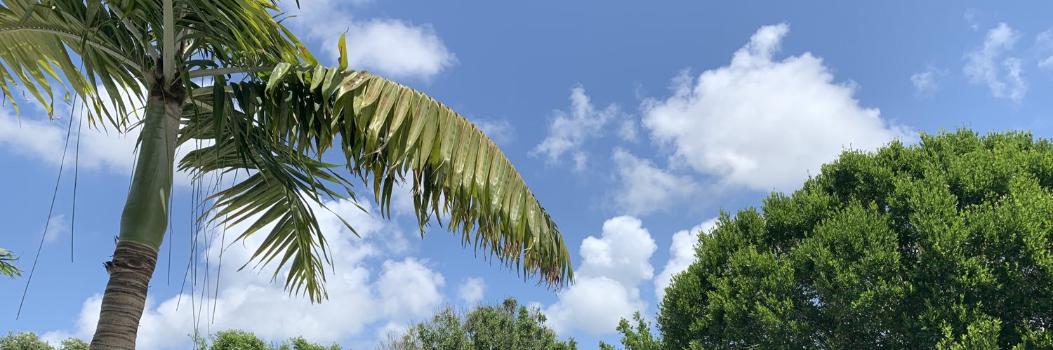 sbwashington's profile banner image