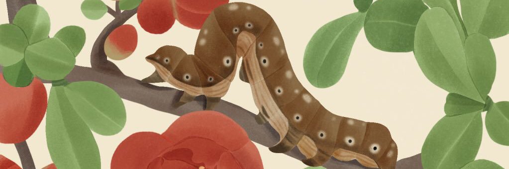 ClarkStrand's profile banner image