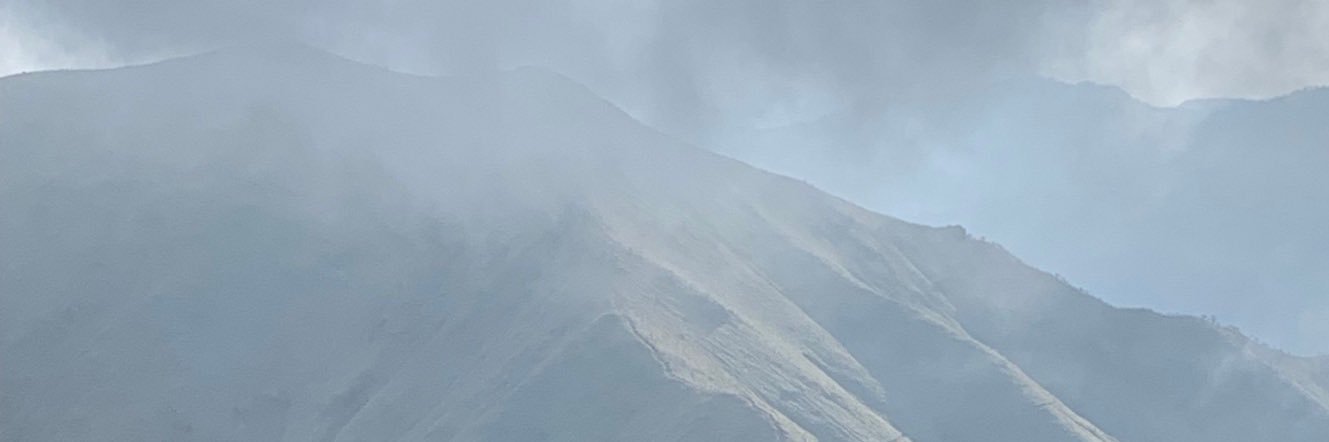 lingolingo11's profile banner image