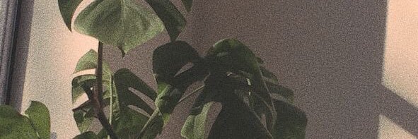 irasfad's profile banner image