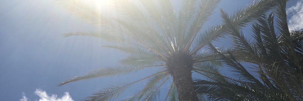 Matt_Allan1's profile banner image