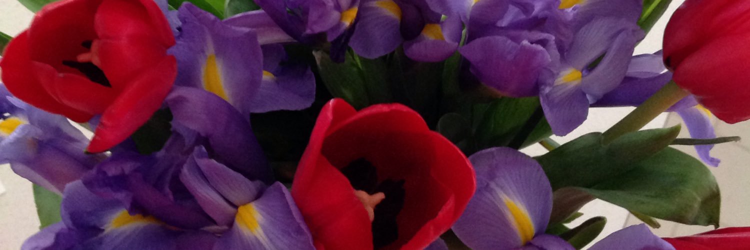 Cynthia Vindiola banner