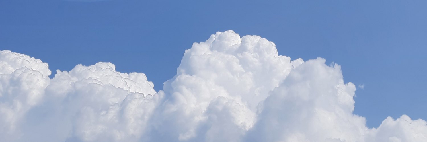 patsyferrer's profile banner image
