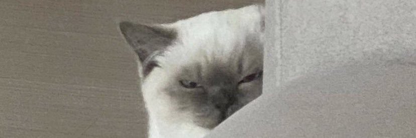 jimmeotry's profile banner image