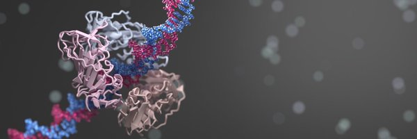 instructhub Profile Banner
