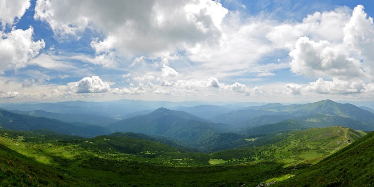 Віталія banner