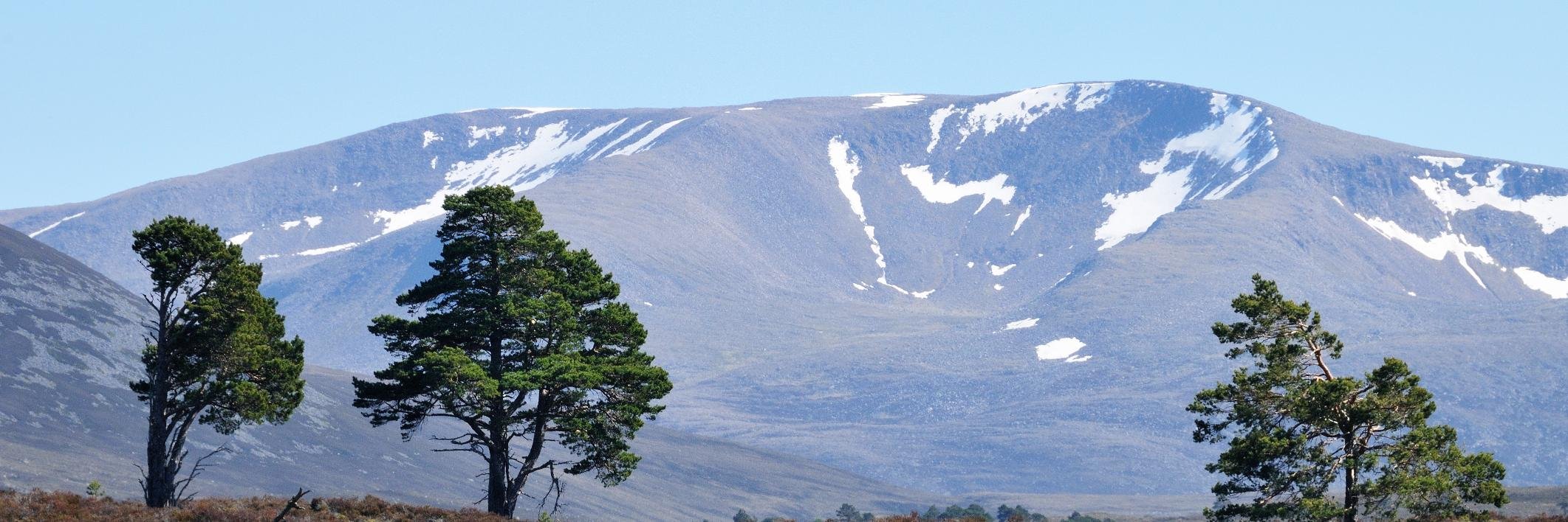 About Aviemore banner