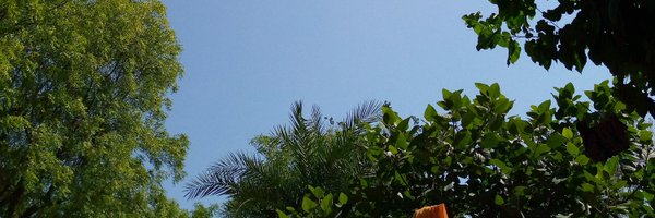 SAHILDILKUSH Profile Banner