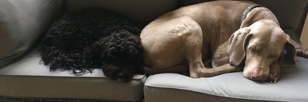 gemmariefaith's profile banner image
