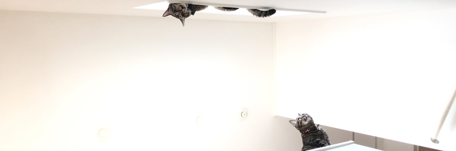 ロンです banner