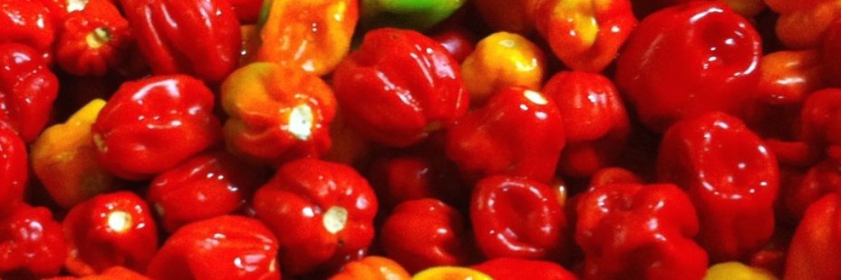 DamiensSauces's profile banner image