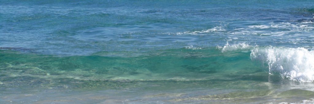 UmeCooper's profile banner image