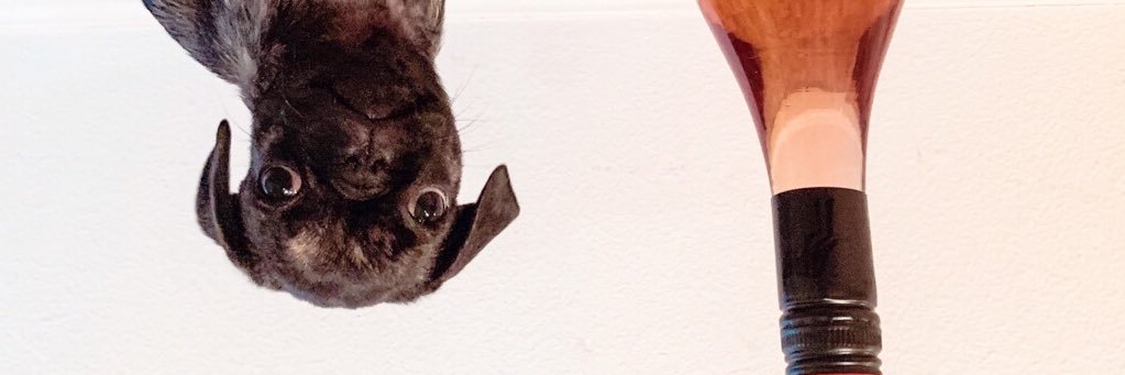 Carlymoss13's profile banner image