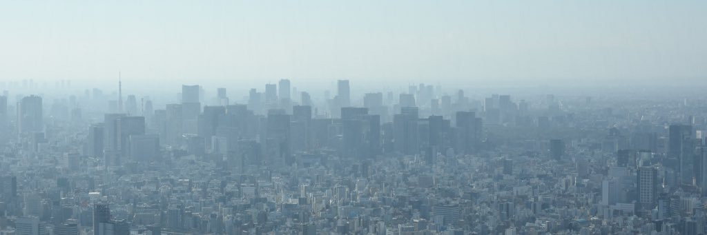 mintchameleon's profile banner image