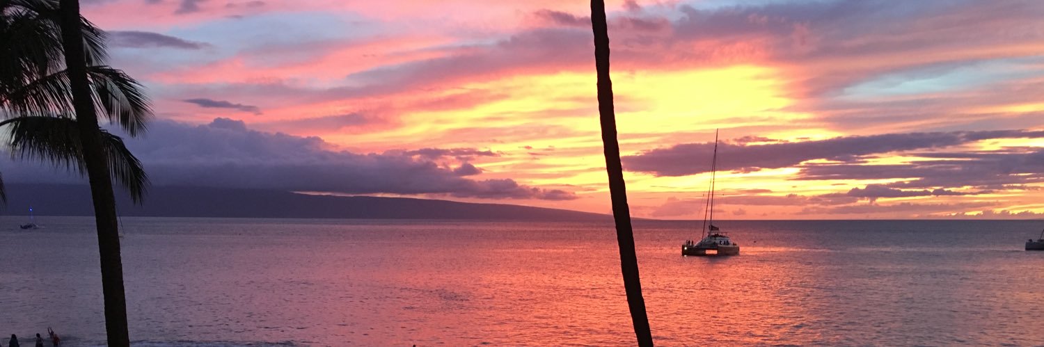 VirginiaHopkins's profile banner image
