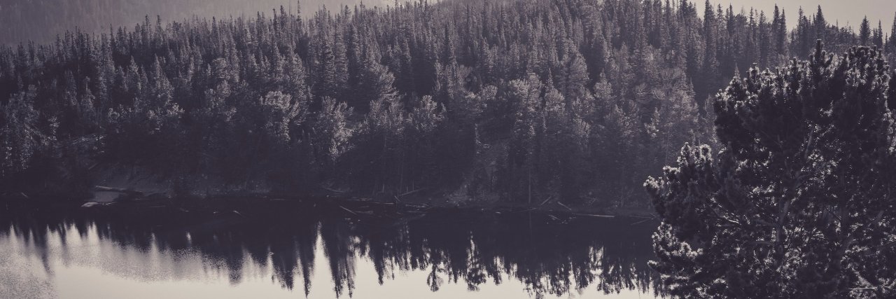 ivowut's profile banner image