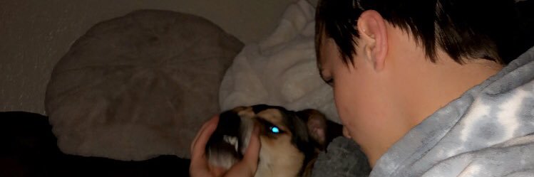 caileykelii's profile banner image