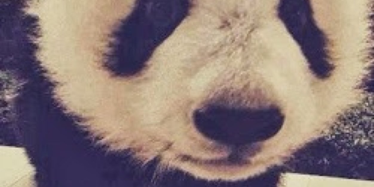 UnaTalAida's profile banner image