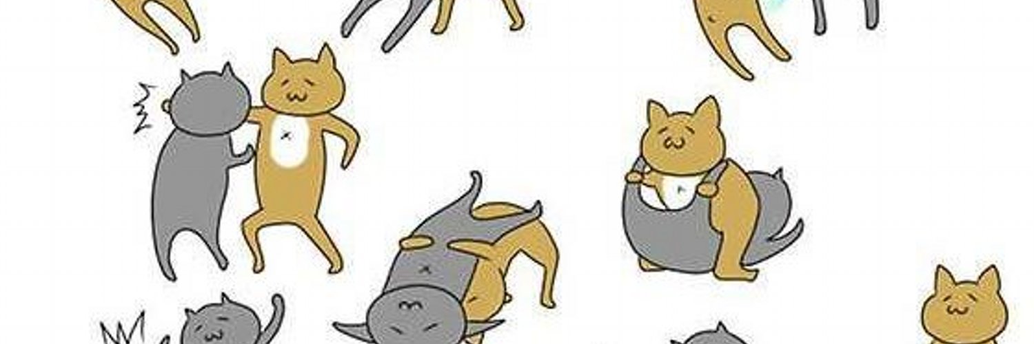 猫将軍withボナペチ banner