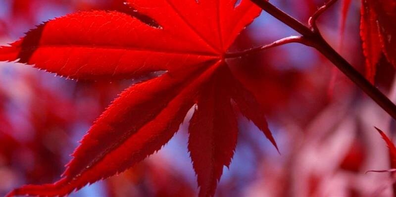 Bhushansweet_'s profile banner image