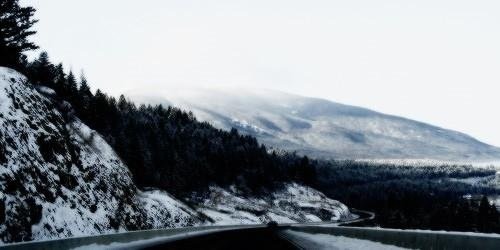 steftogdr's profile banner image