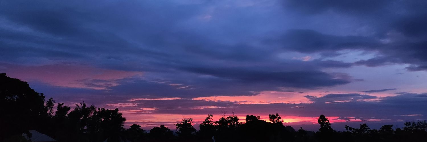 shendellier_'s profile banner image