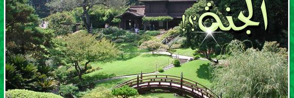 متفائل banner