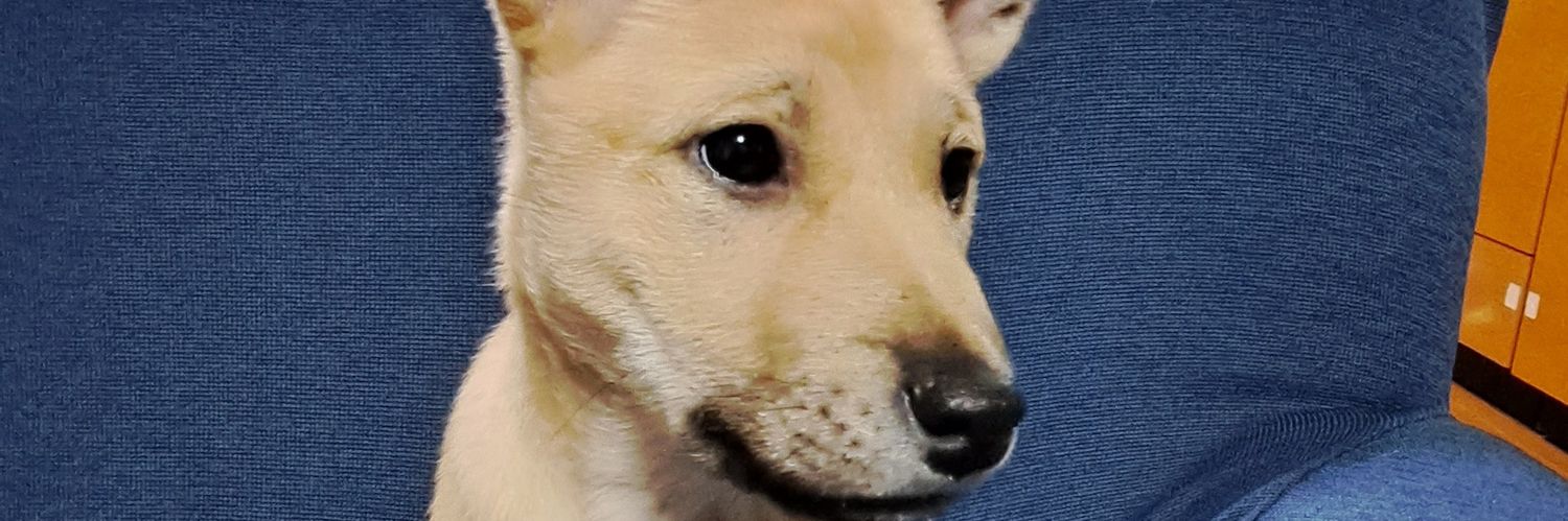 へっぽこ超人 banner