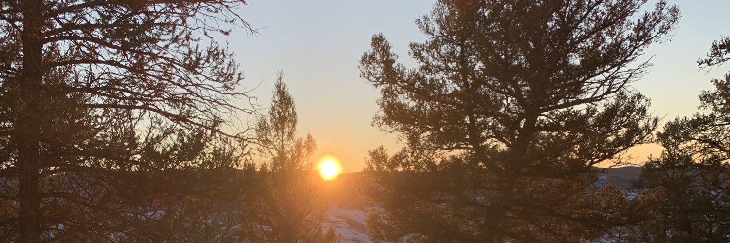 maxridenour's profile banner image