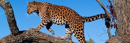 Nicwarn's profile banner image