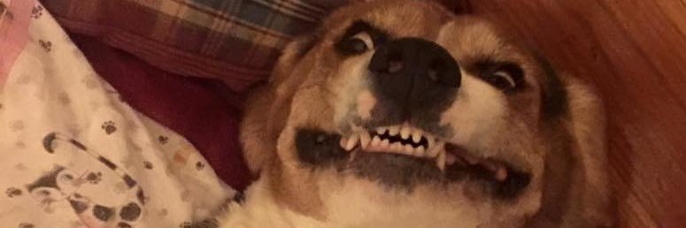 dpage32's profile banner image