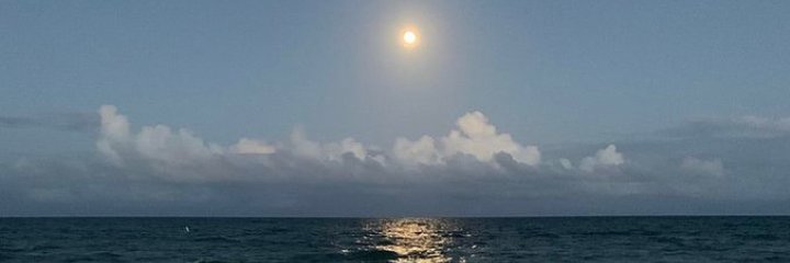 putrie_silvia's profile banner image