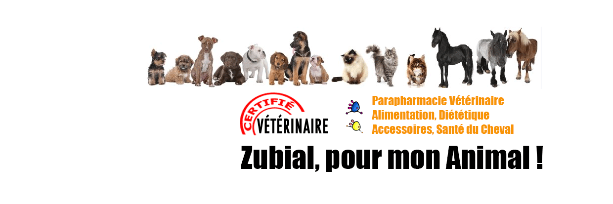 Zubial's profile banner image