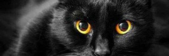 BILLCANNING's profile banner image