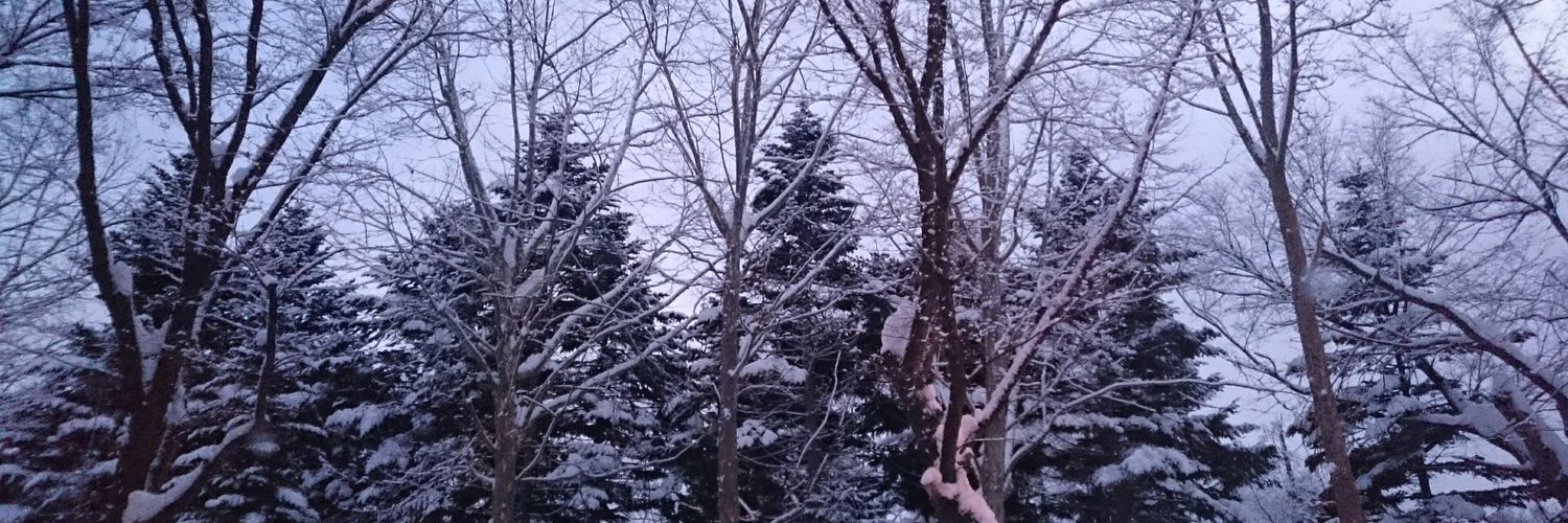 IORA24's profile banner image