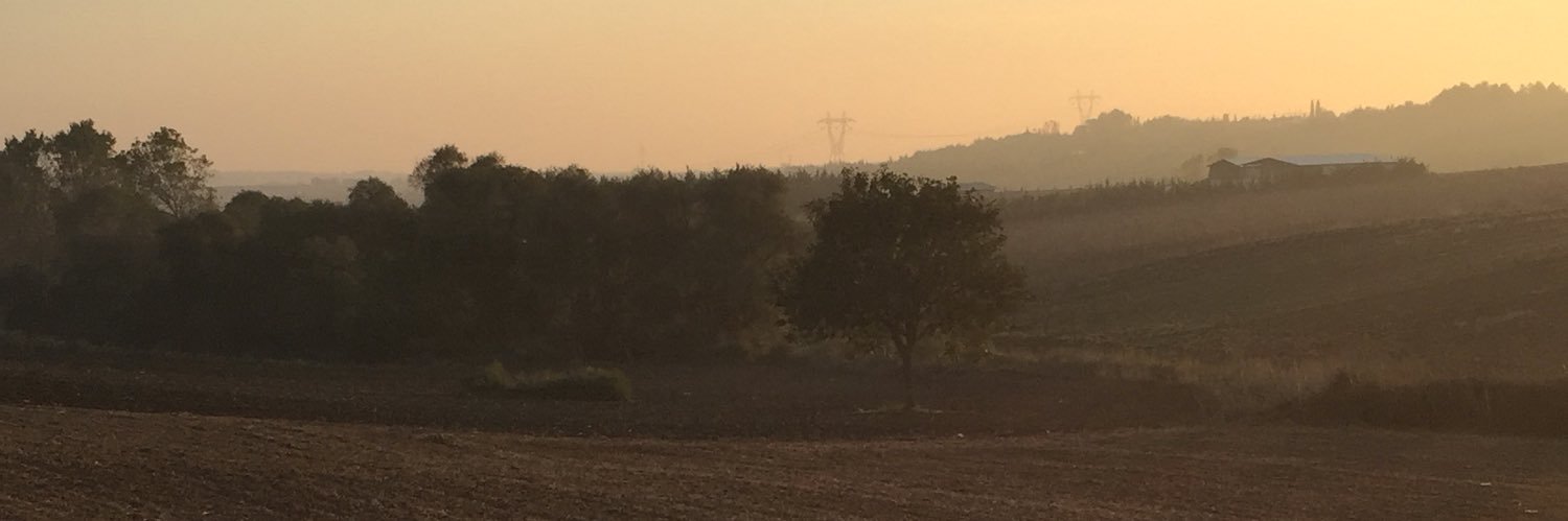 dimsoyadim's profile banner image