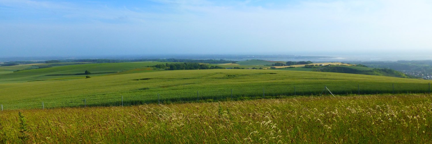 LevDebra's profile banner image