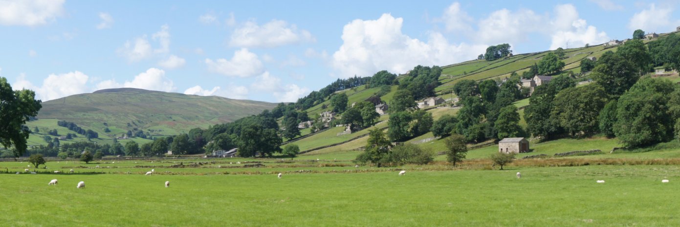 Andy Greenhalgh banner