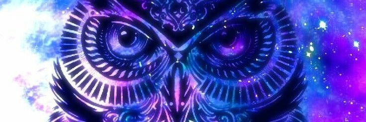 TiaHauserNYC's profile banner image