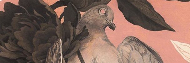 chiisen's profile banner image