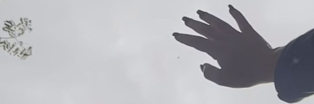 EdaDumer's profile banner image