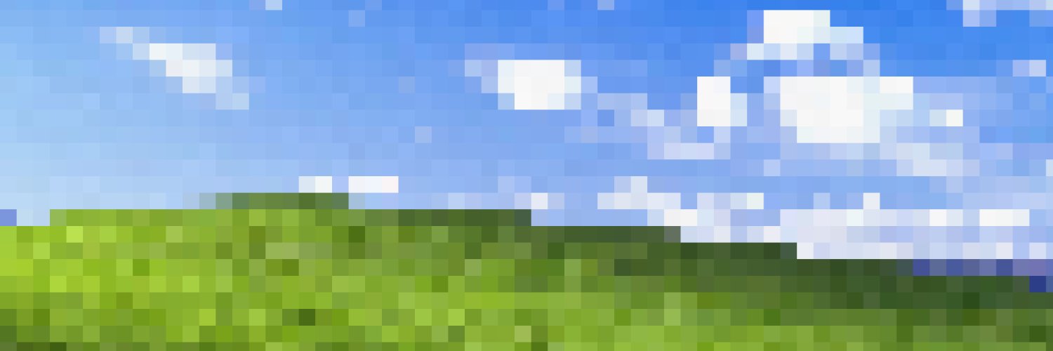 Robert Schaap banner