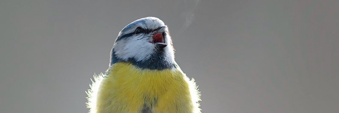 Valjock's profile banner image