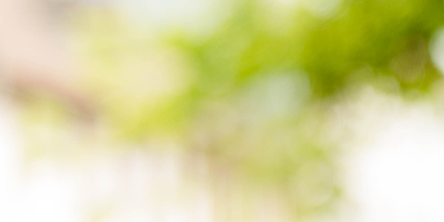 Zebbel's profile banner image