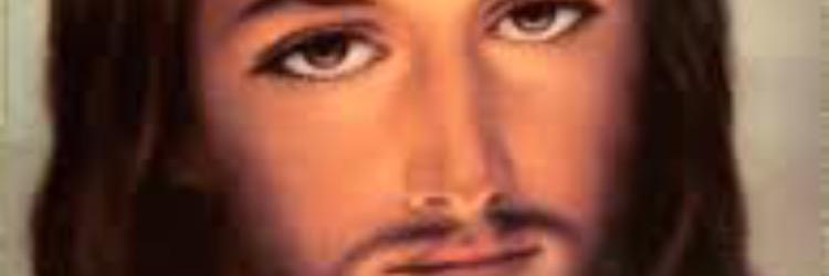 Kelly Higgins banner